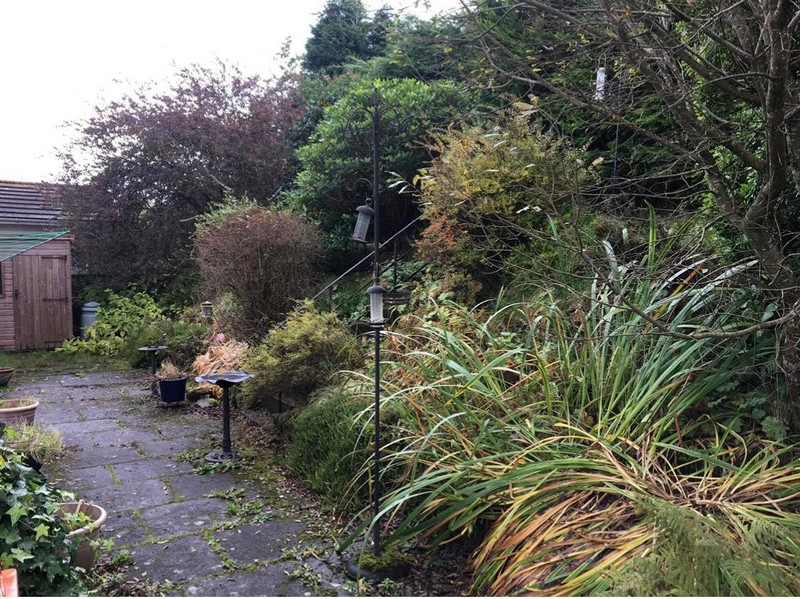 Landscaping2