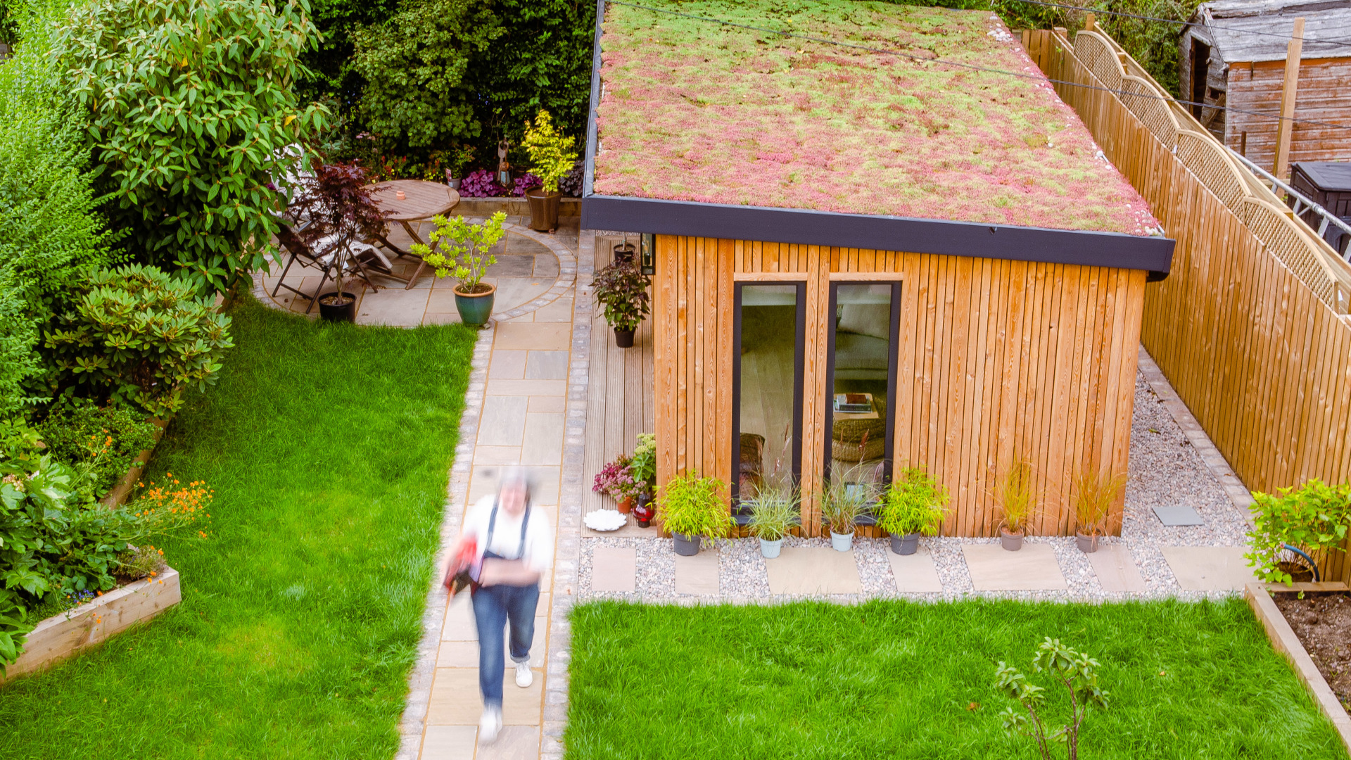 Garden Room sedum