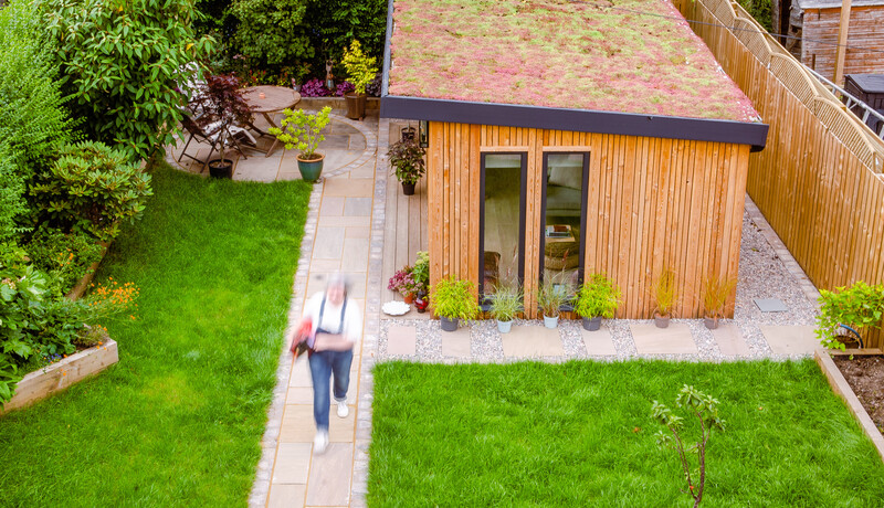 Garden Room sedum