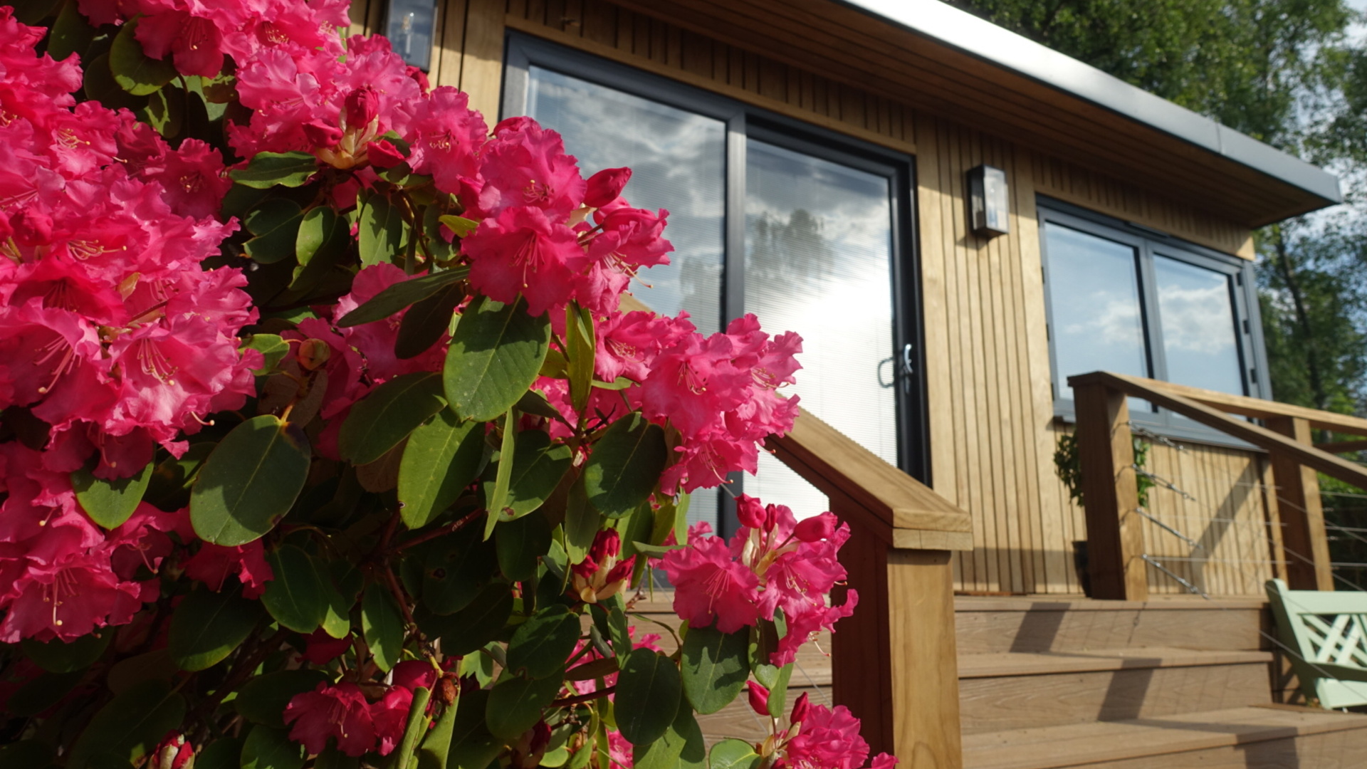 Garden Room with rhododendron