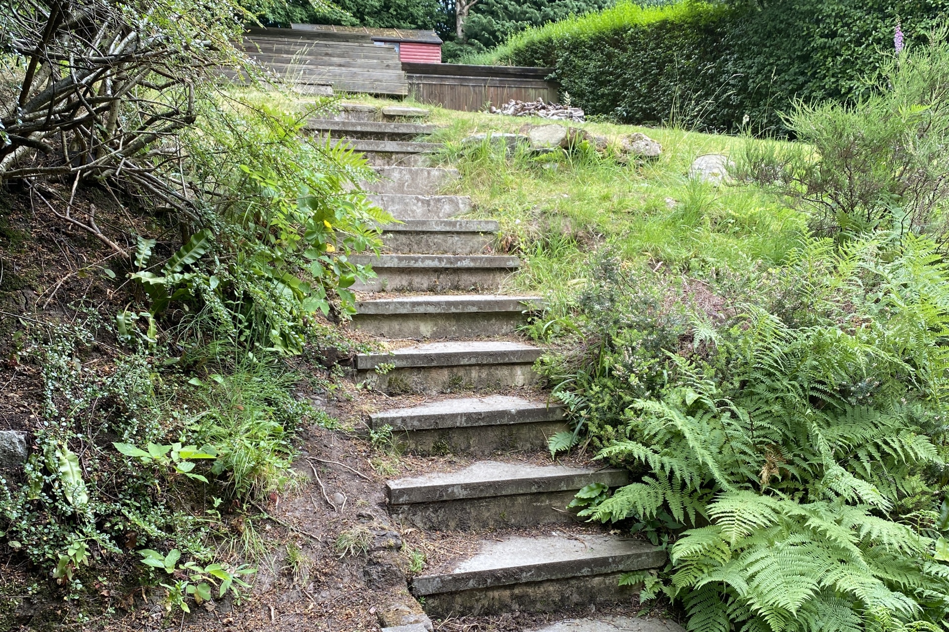 Garden before from the house with steps