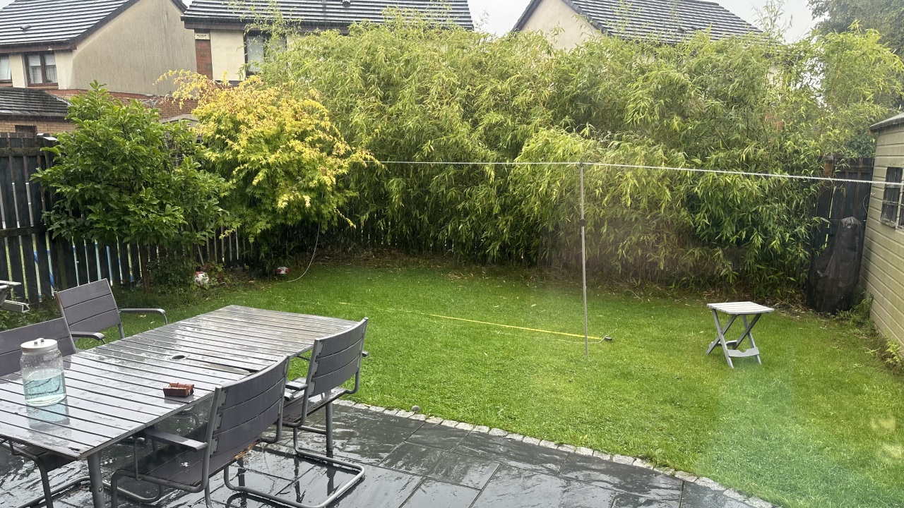 Garden before with bamboo