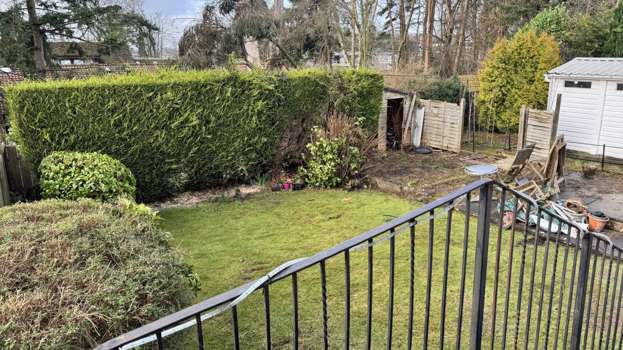 Garden-before