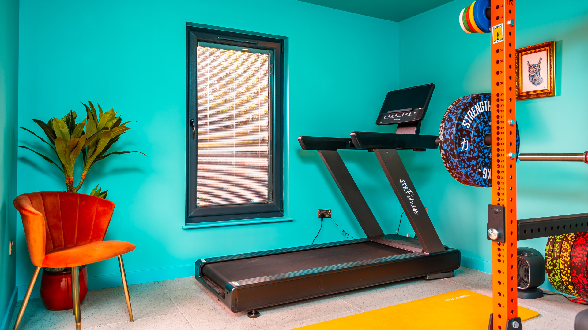 Garden gym treadmill