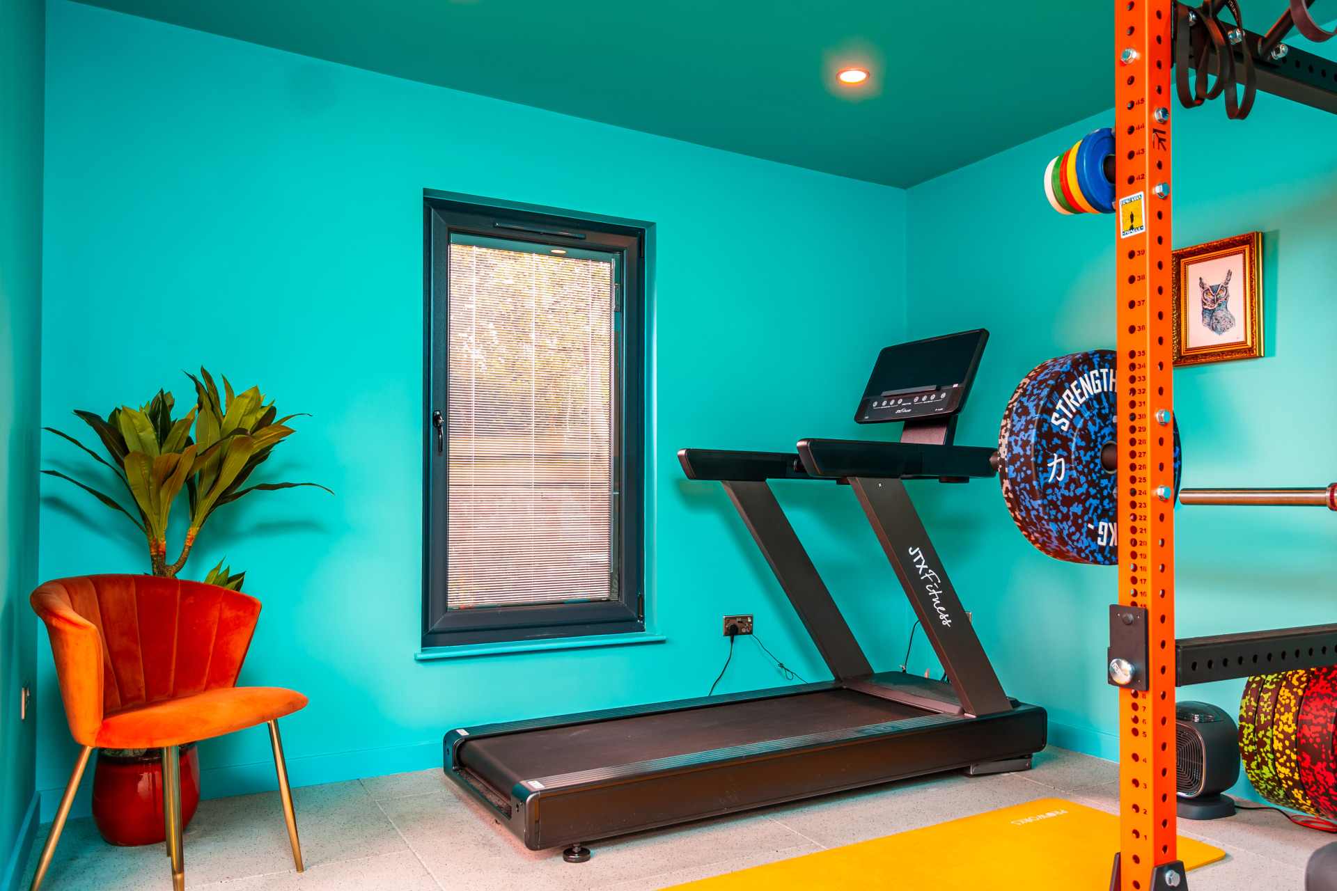Garden gym treadmill