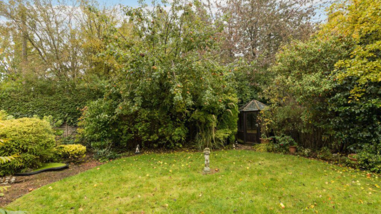 Garden before
