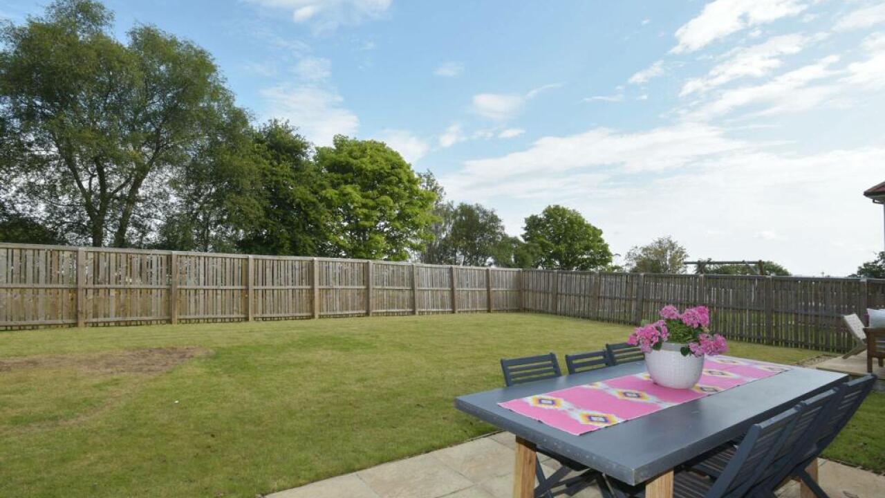 Garden before 2