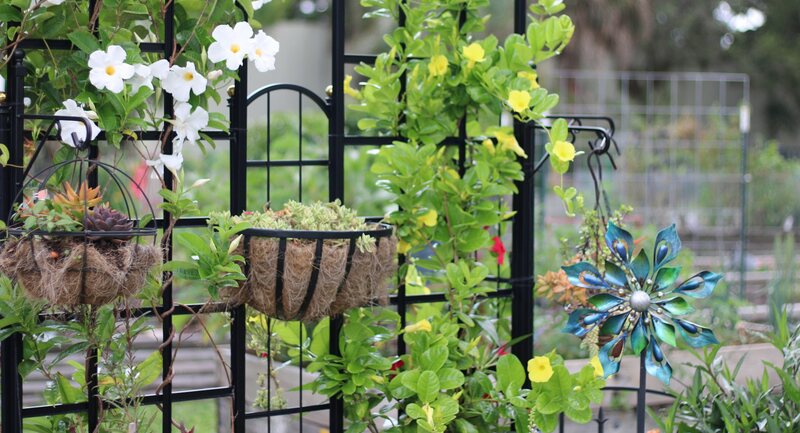 Trellis and hanging baskets